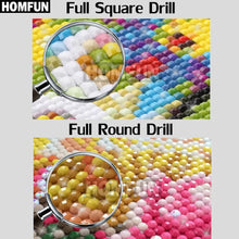 Load image into Gallery viewer, 5D Diamond Painting Crafts Full Diamond Square Round Drill Embroidery Fish Pond Home decor
