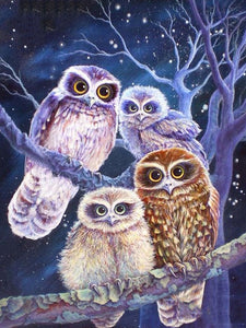 Owls 5D Crystal Art Paintings Decorative DIY Home Decoration Round Square Inlay Diamonds Do It Yourself Project ADHD Therapy
