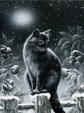 Load image into Gallery viewer, Cats Winter Night 5D Diamond Dotz or Square Painting Kit DIY Full Drill Diamonds Arts Crafts Embroidery Rhinestone Painting Home Decoration
