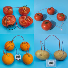 Load image into Gallery viewer, Bio Energy Science Kit Potato Fruit Supply Electricity Experiments Kids Children Student Learining Science Educational Toy
