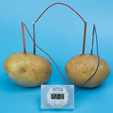 Load image into Gallery viewer, Bio Energy Science Kit Potato Fruit Supply Electricity Experiments Kids Children Student Learining Science Educational Toy
