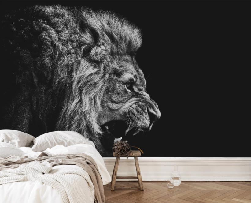 3D Black and white lion Home Improvement 3D Wallpaper For Bedroom Walls Mural TV Background Wall