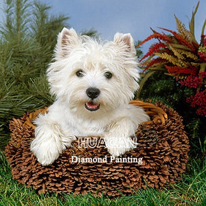 White Dog 5D Crystal Paintings Decorative DIY Home Decoration Select Round Square Inlay Diamonds Do It Yourself Art Relaxation Therapy