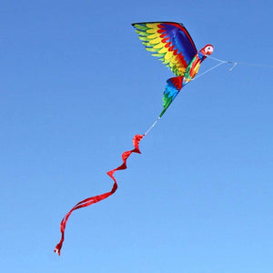 Realistic Big 3D Parrot Kite Children Flying Kite Outdoor Fun Playing Cloth Toy Flying Toys with 100m Line