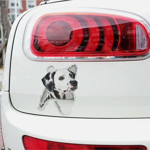 3D Vivid Dog Wall Hole Stickers For Car Truck Kids Rooms Decorations Home Decor Wall Refrigerator Car Mural Art Decals