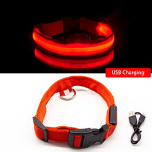 Load image into Gallery viewer, Battery Operated Led Dog Safety Collar Anti-Lost Pet Avoid Car Accidents Collar For Dogs Puppies Light-up Dog Collars Leads LED Pet Supplies Products
