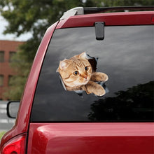 Load image into Gallery viewer, 3D Dog Car Truck Sticker Waterproof Cat Car Sticker Toilet Sticker Wall Stickers Removable Art Decals Sticker Home Decor
