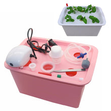 Load image into Gallery viewer, 1 Set 6 Holes Plant Site Hydroponic System Indoor Garden Cabinet Box Grow Kit Bubble Garden Pots Planter Nursery Pot
